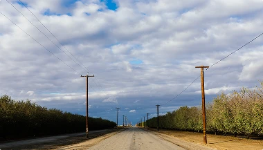 A cloudy sky over a long road between orchards